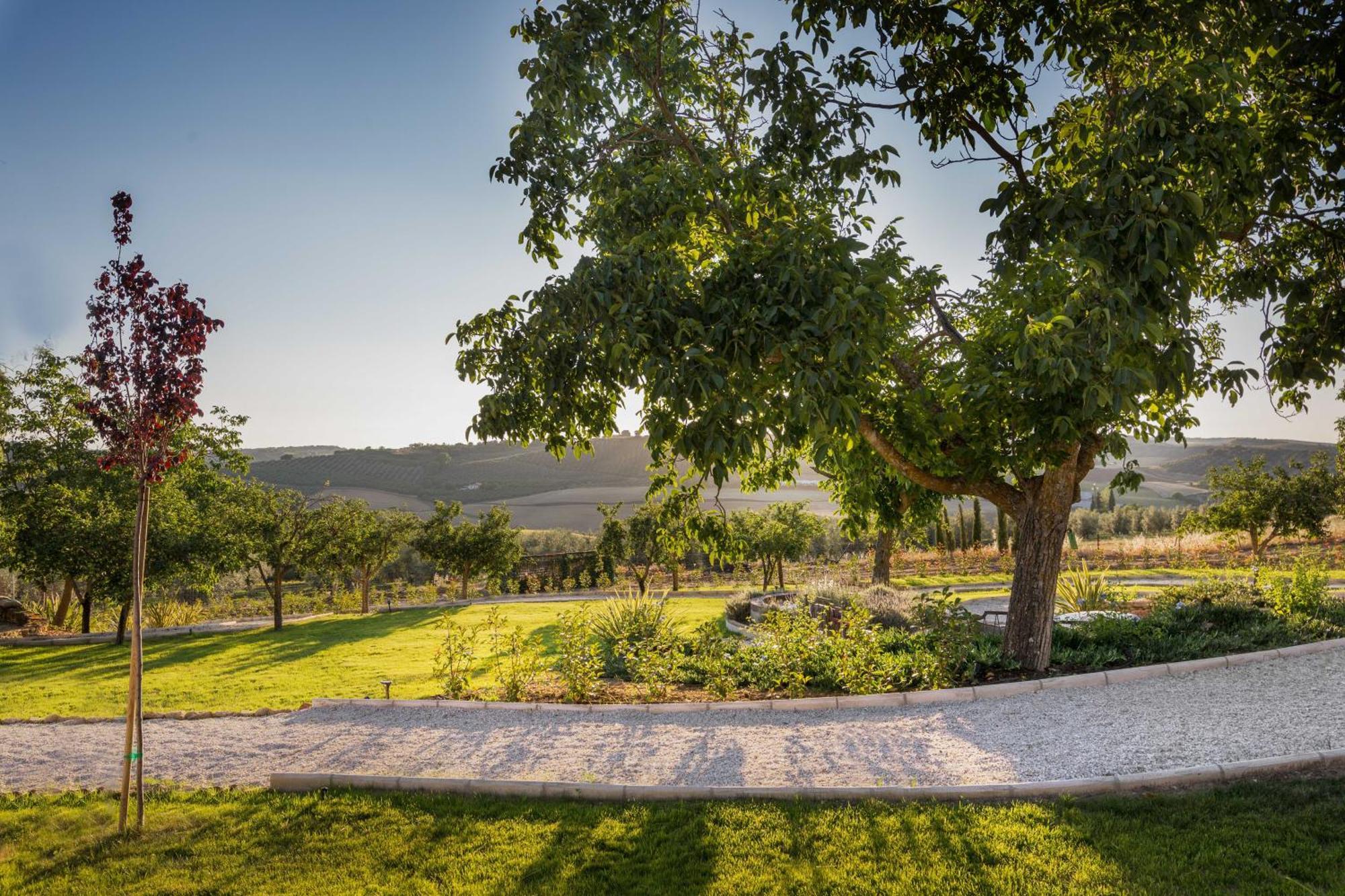 Finca Naranja Panzió La Cimada Kültér fotó